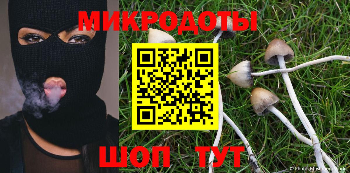 Саранск  Галлюциногенные грибы мицелий  Вход с VPN  Псилоцибиновые грибы мухоморы 