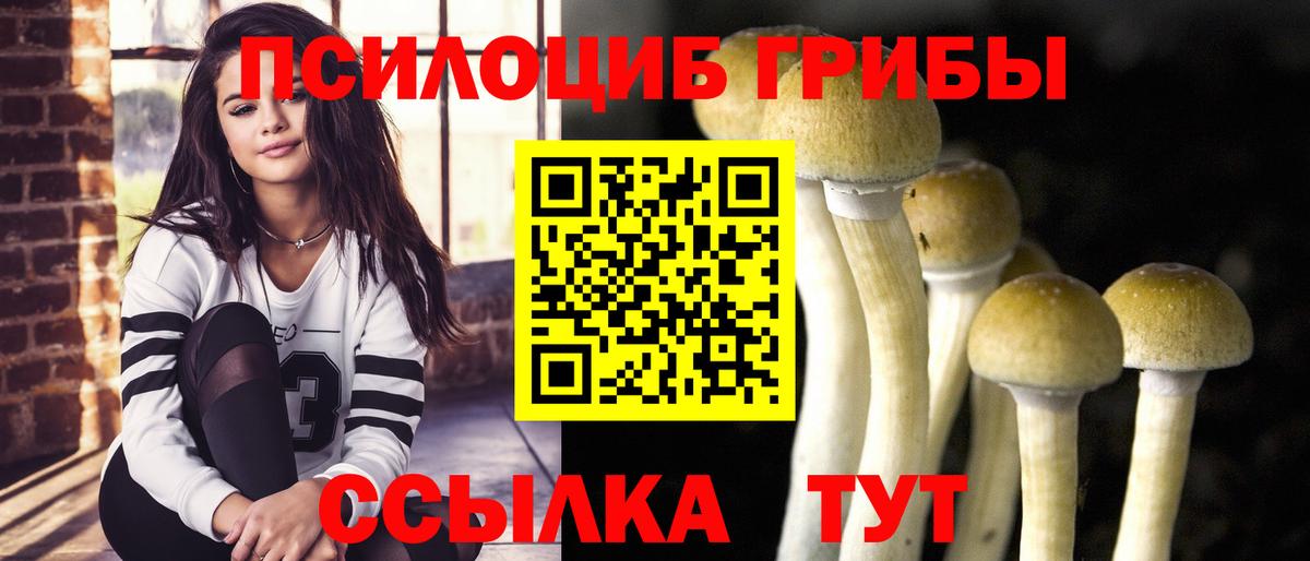 Галлюциногенные грибы Cubensis Саранск
